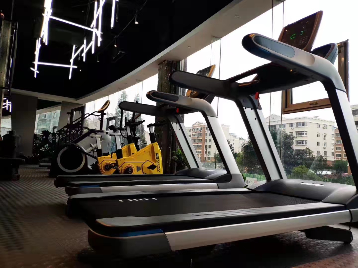 Top 5 commonly used equipment in the gym