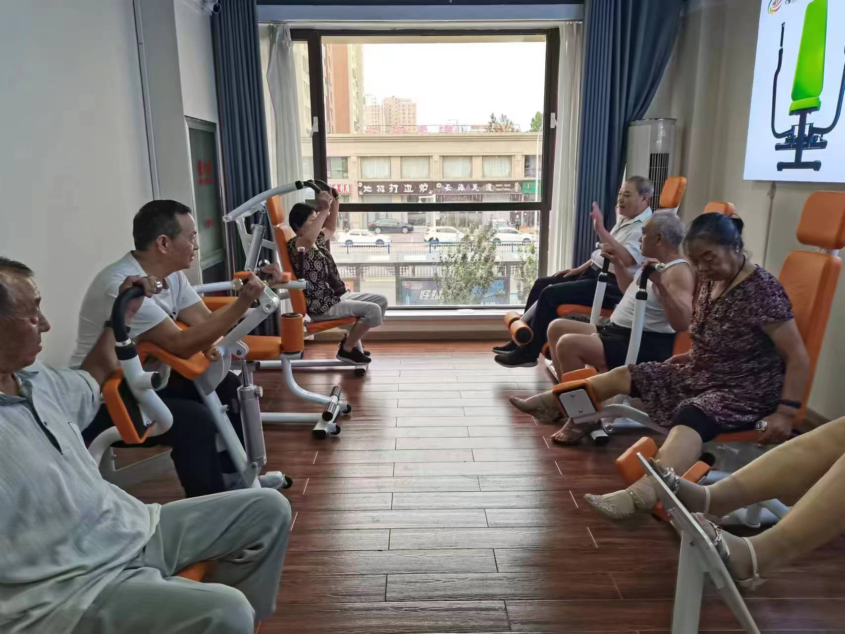 Rehabilitation hydraulic trainer for the elderly: a caring assistant to safeguard health in old age