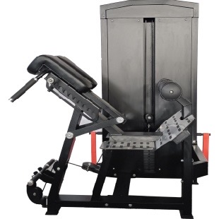 Back Extension & Glute Ham Trainer – Build Posterior Chain Strength with Precision