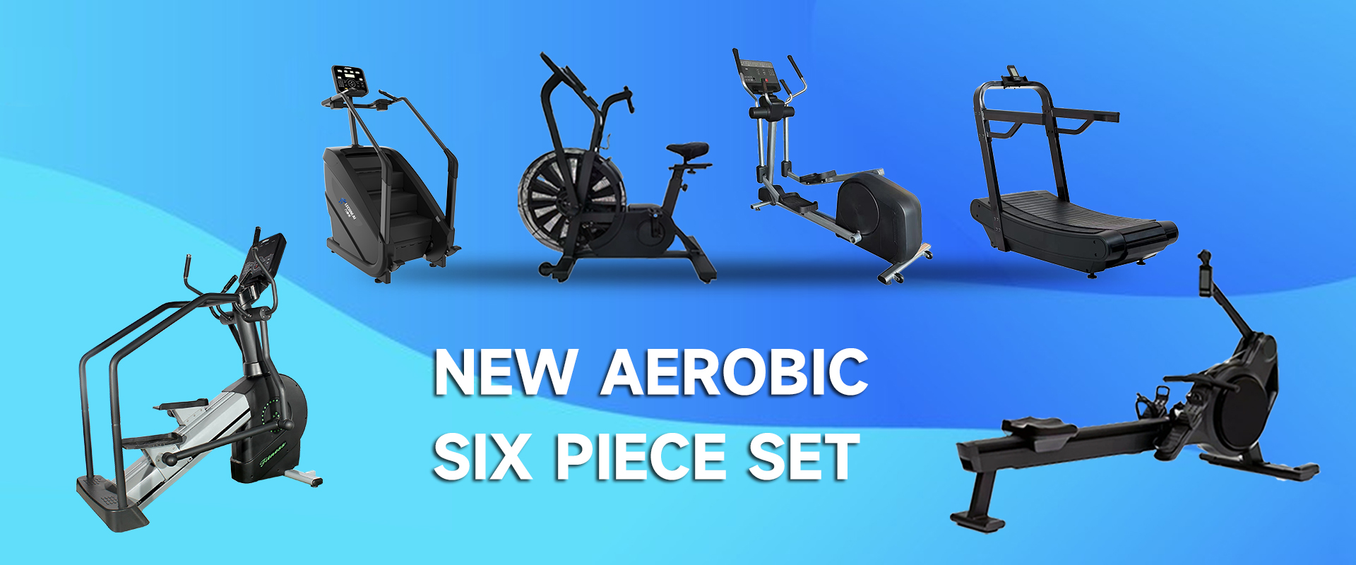  The Power of Aerobic Training