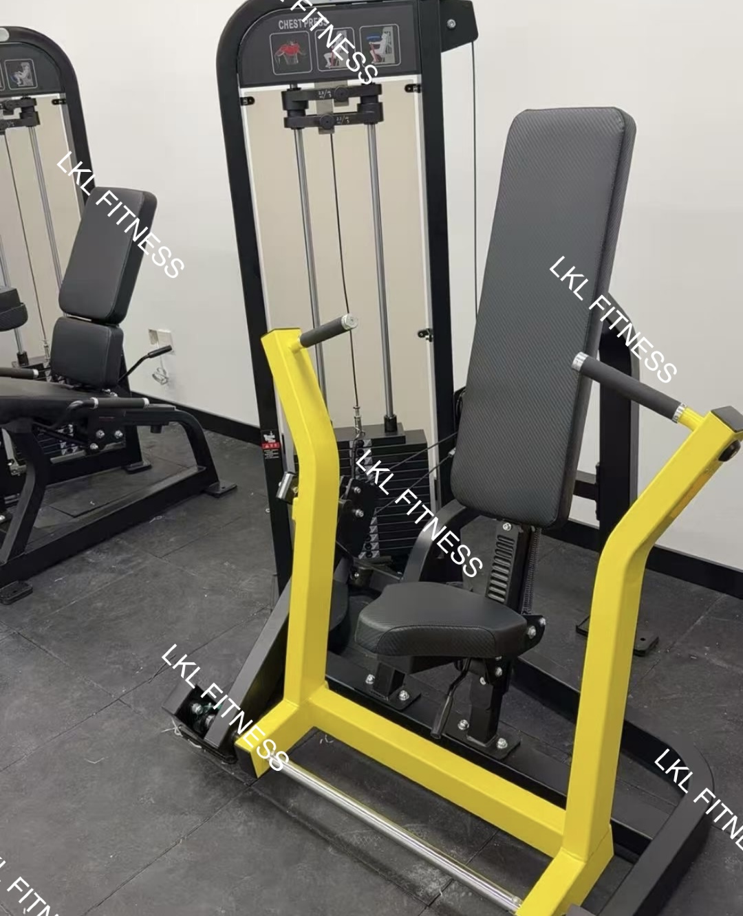 Iron Forge Gym Case Study