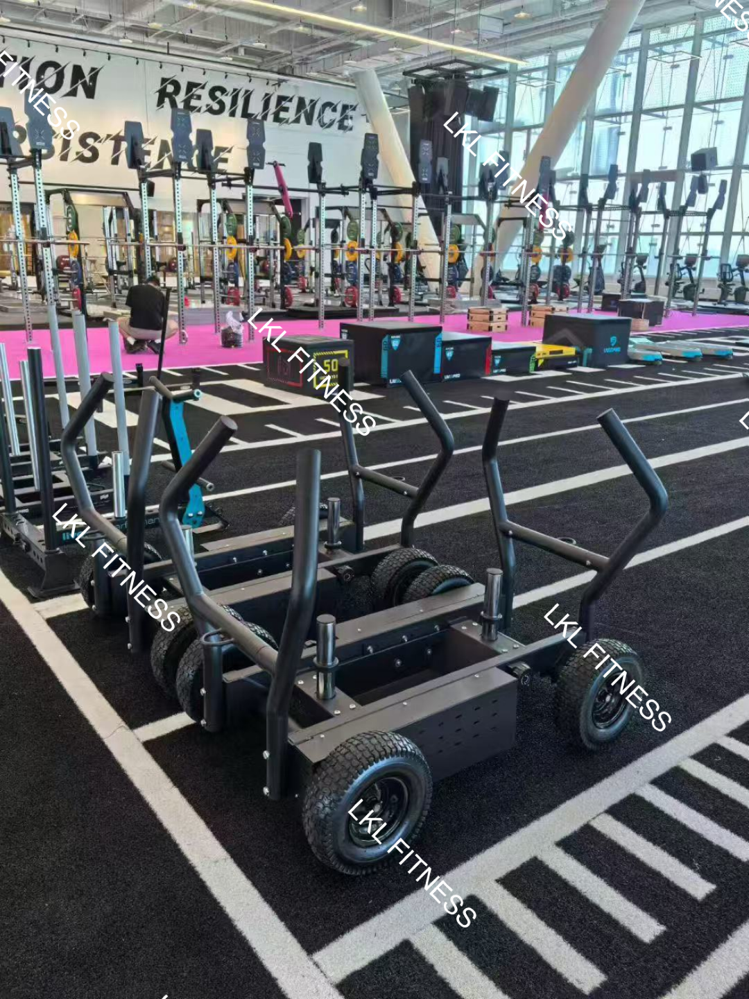 Elite Motion Gym Case Study