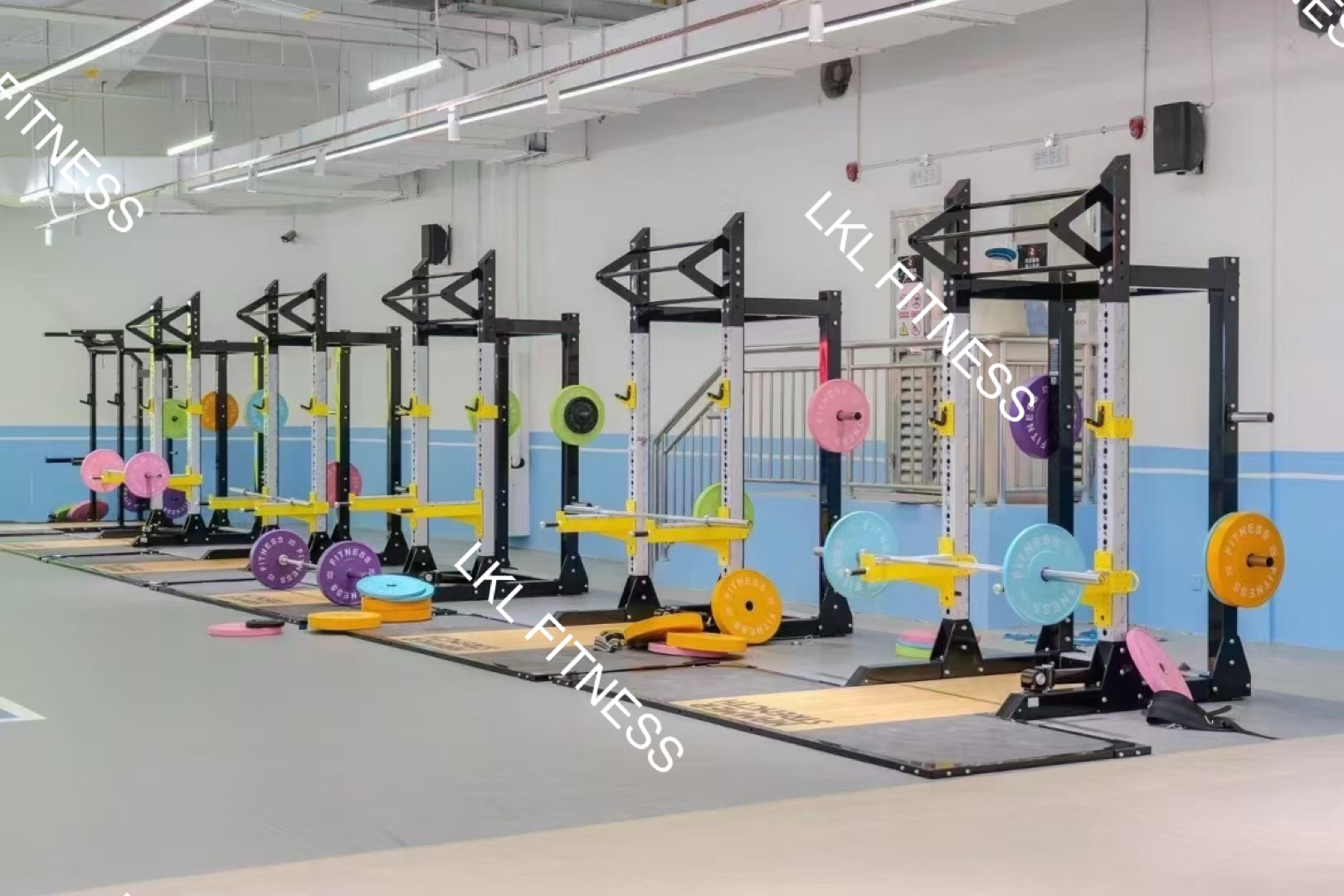 Elevate Fitness Gym Case Study