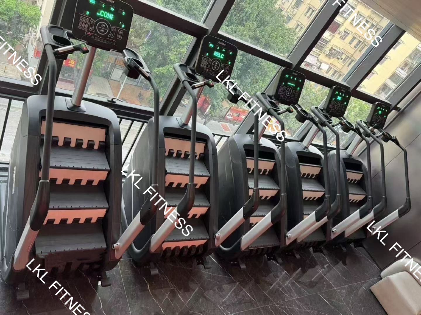 Lion Fitness--Gym Project Case Study